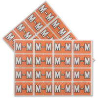 Pendaflex  06613, TOPS PRODUCTS