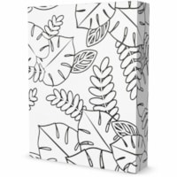 Domtar LETVB006, SPICERS